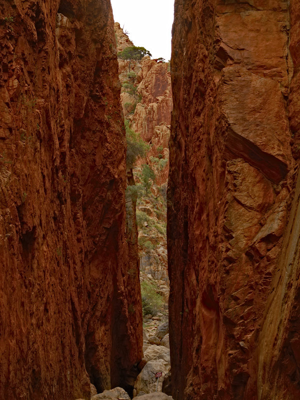 Serpentine Gorge